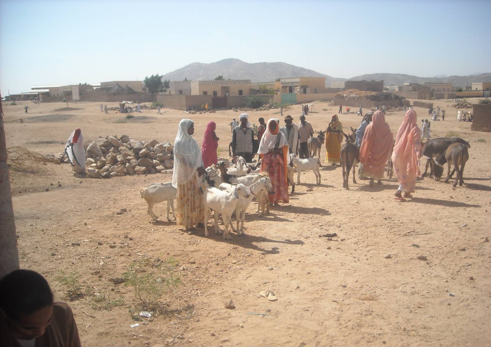 Livestock prograWeaving trainingm, offering goats and chickens to female headed families